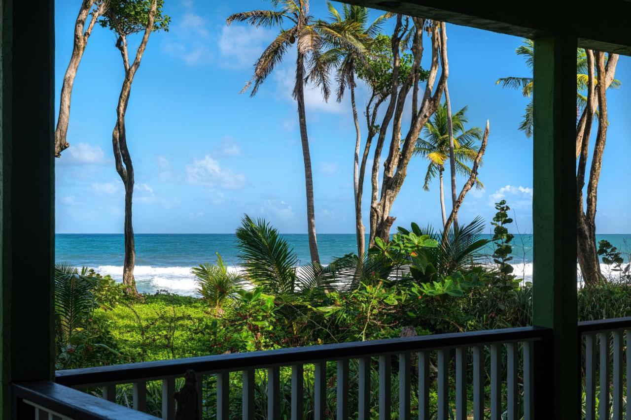 Rosalie Bay Eco Resort & Spa エクステリア 写真